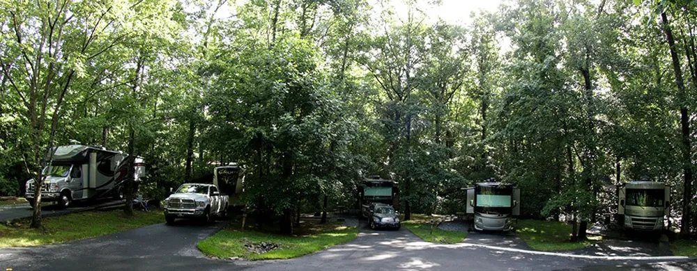 RV sites tucked into the wooded Creekwood Resort property.