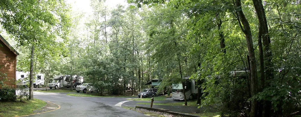 Creekwood RV sites 8 through 11 set among trees.